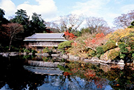 楽寿園