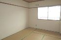 賃貸物件（住居用）シティハイツ　2DK　39.74m²